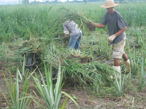 Dia do trabalho - 01.05.2022